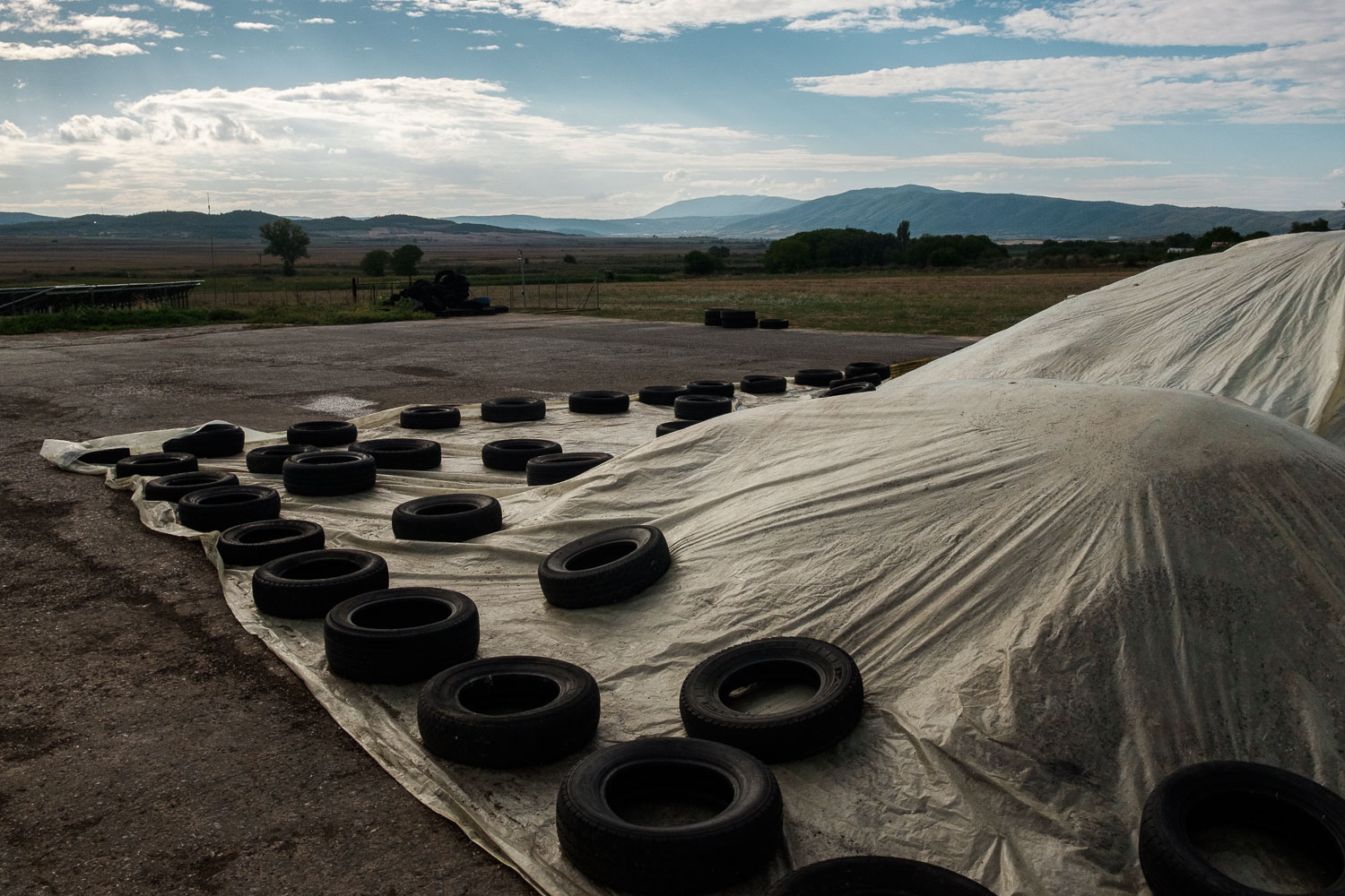 Pictures of the Floating World